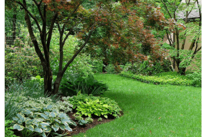 Smithsonian Archive of American Gardens - McCoy Horticultural | McCoy ...